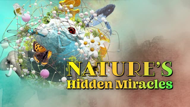 Nature's Hidden Miracles