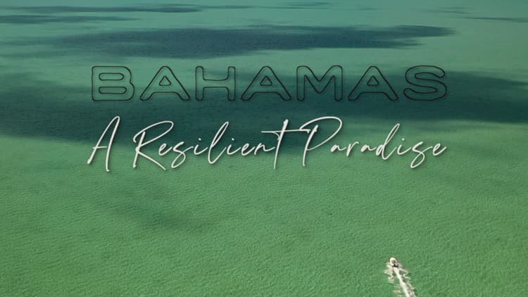 A Resilient Paradise