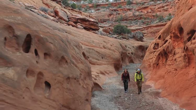 Epic Trails