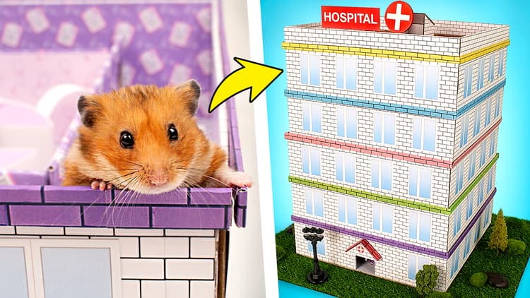 2 Coolest Hamster Mazes