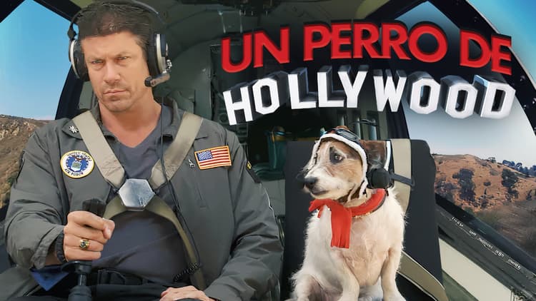 Un Perro de Hollywood