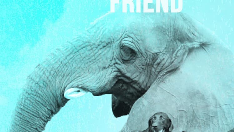 Sara Marino - Dog's Best Friend
