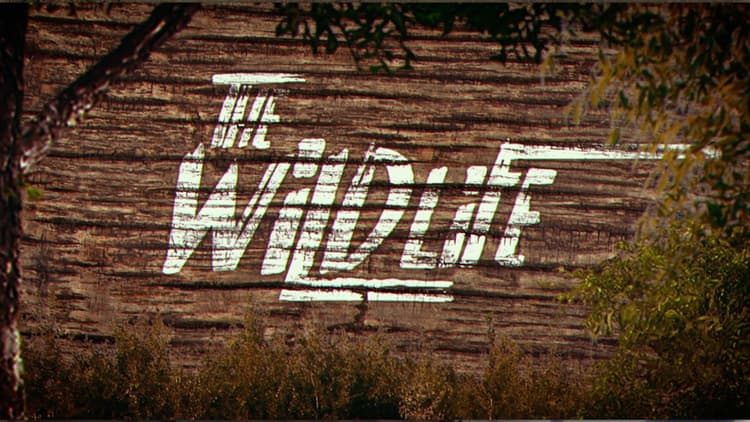 The Wildlife