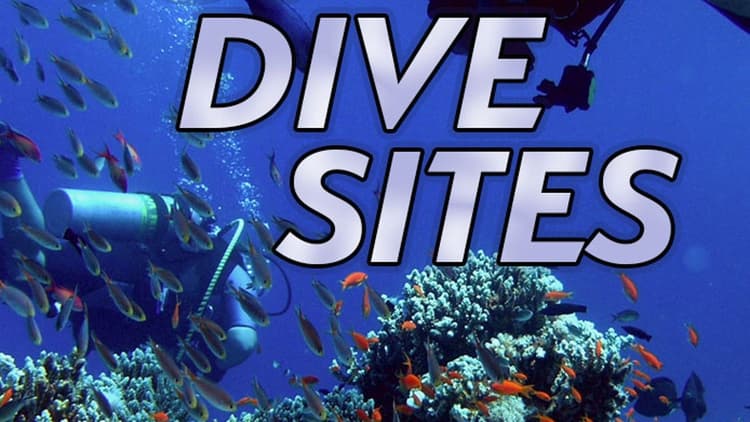 Tom Sutherland - Top Dive Sites