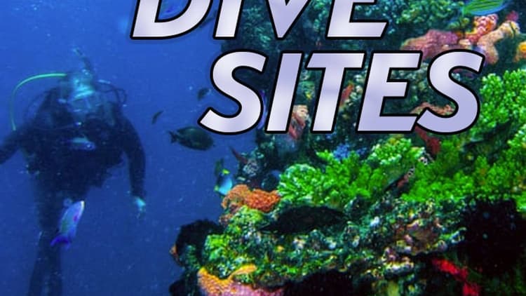 Mónica Hernando & Tom Sutherland - Top Dive Sites