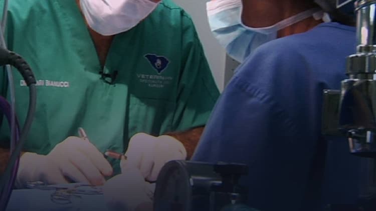 Tom Clark - Rescue Vet