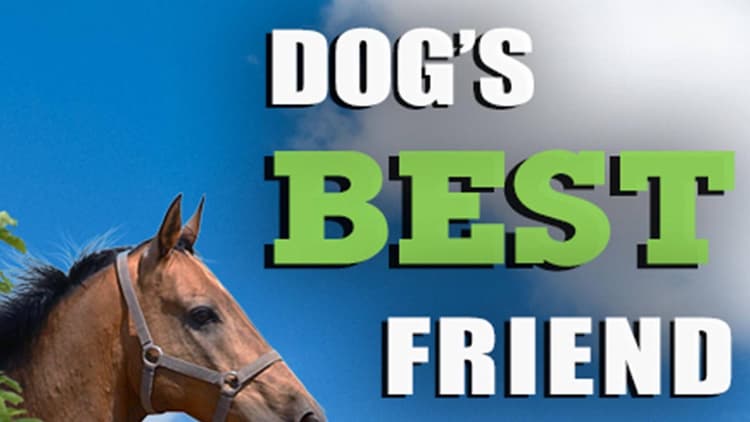 Mark La Pointe - Dog's Best Friend