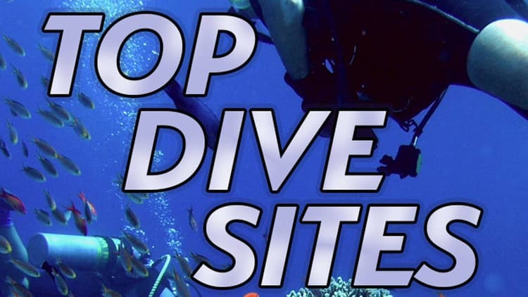 Tom Sutherland - Top Dive Sites