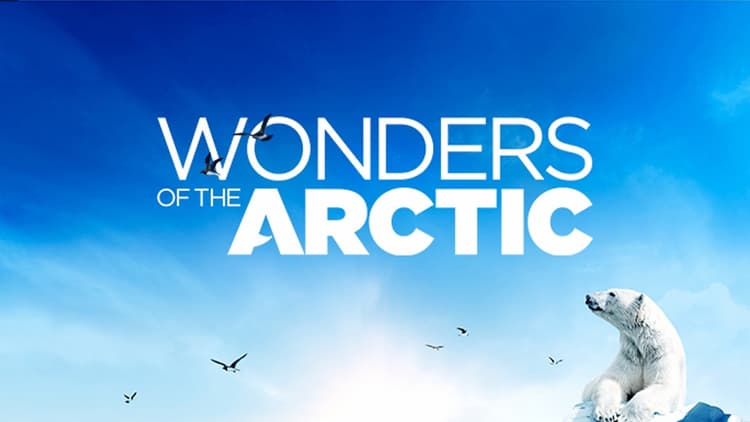 Wonders of the Arctic