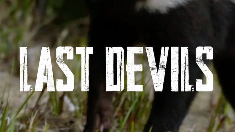 Last Devils