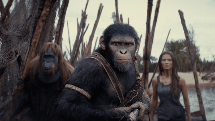 Kingdom of the Planet of the Apes