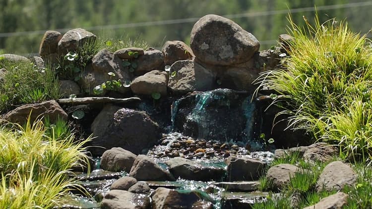 
Ponds and Waterfalls
