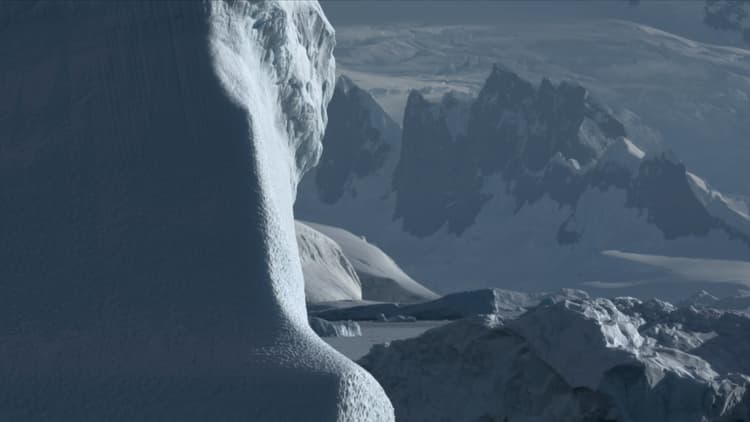 
Science in Antarctica: Missing Giants
