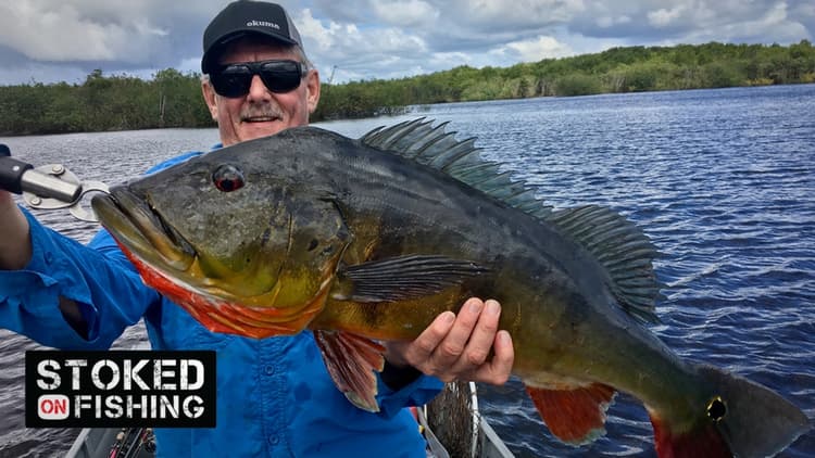 
Stoked on Fishing - Fishing For Monster Amazon Peacock Bass, Part One
