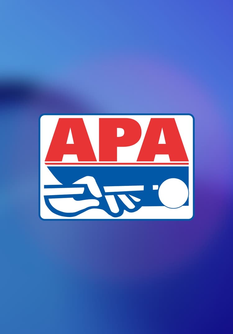 2023 American Poolplayers Association U.S. American Championship