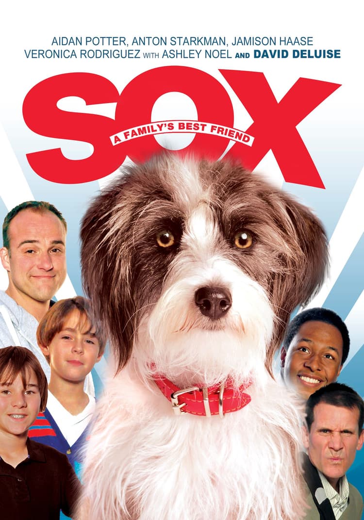 Sox: A Family's Best Friend
