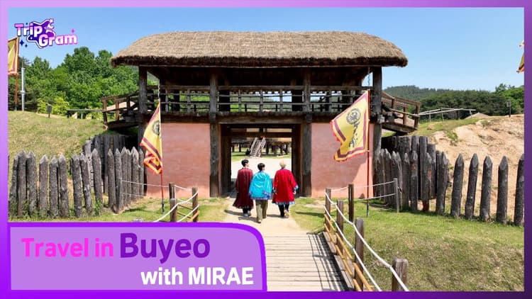 TripstarGram | Buyeo with MIRAE