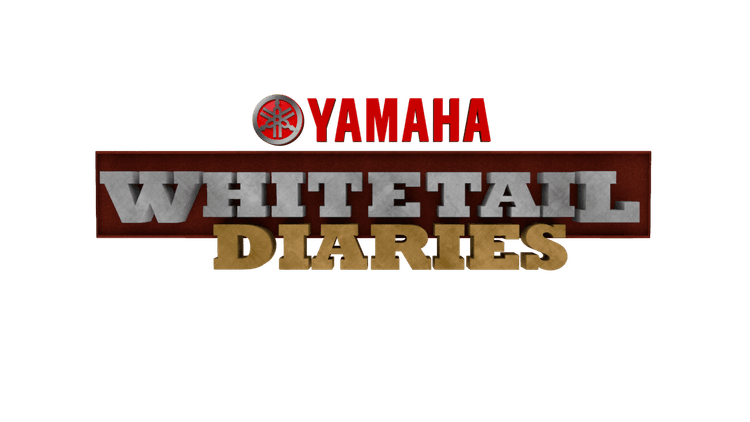 Whitetail Hunting Stories