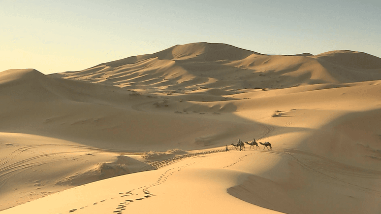 Deserts