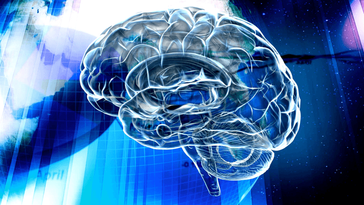 Exploring Artificial Intelligence