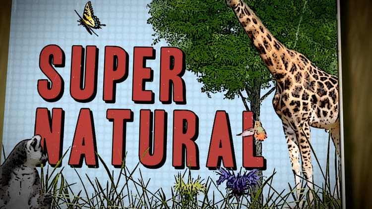 Super Natural