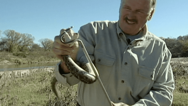 Venomous Creatures