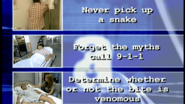 Snake Bite