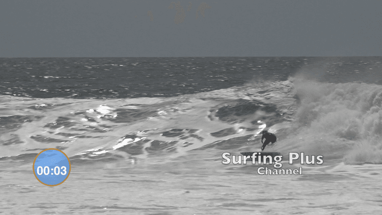 Sea Surf