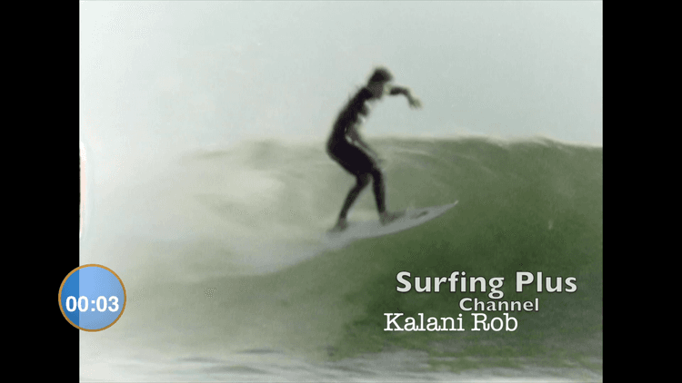 Board Bliss Surfing
