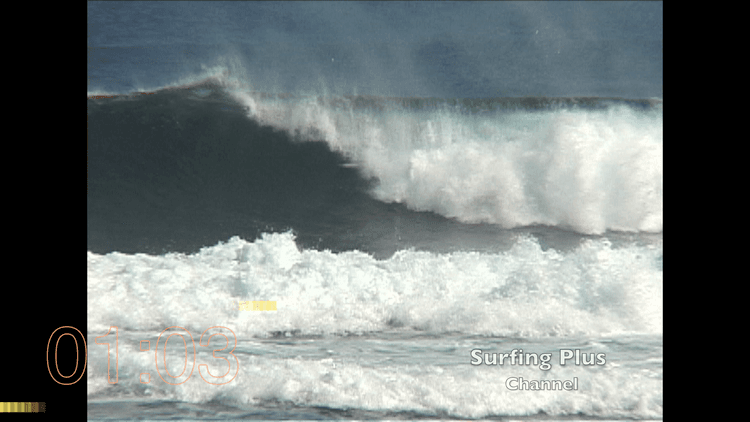 Sunlit Splash Surfers