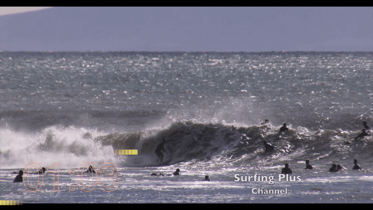 Dynamic Surf
