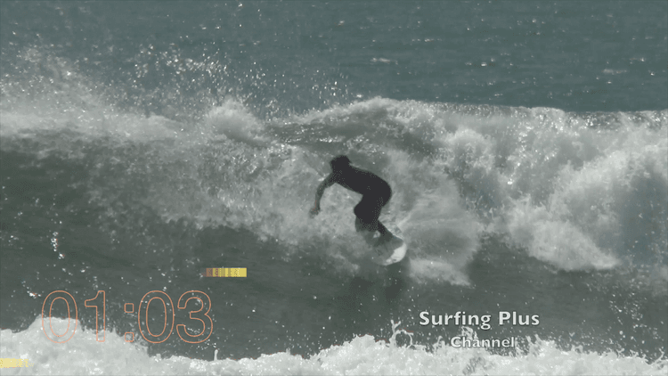 Aqua Echo Surf