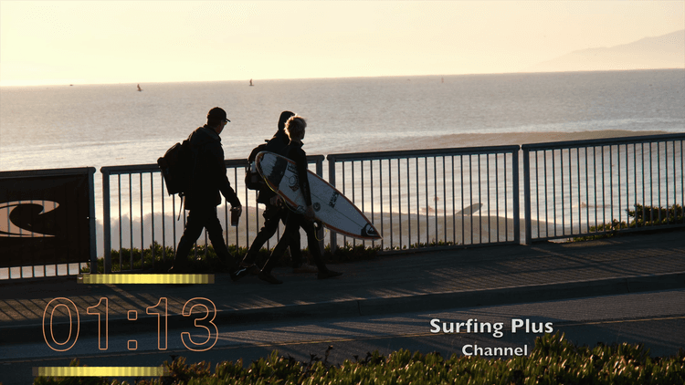 Wisdom Insights Surfing