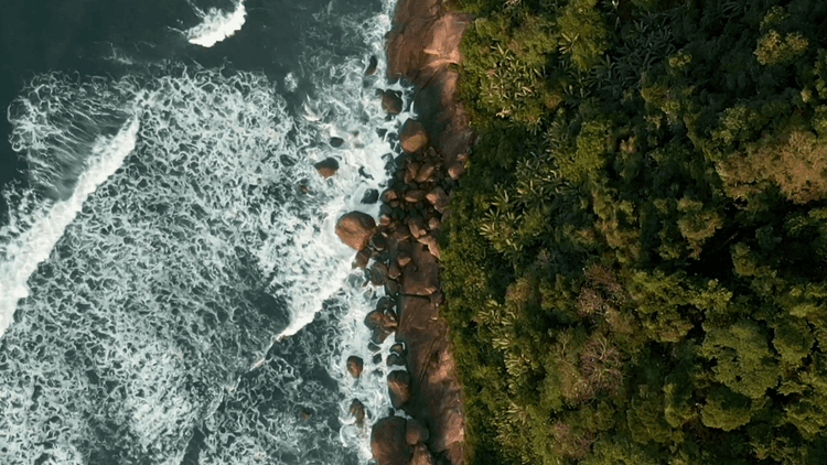 The Nature of Brazil by Drone, Part 2