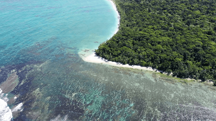 Drone Views of Costa Rica, Part 1