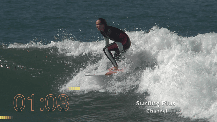 Evolution Unveiled Surfing