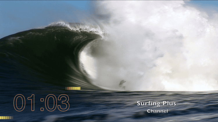 Ocean Ovation Surf