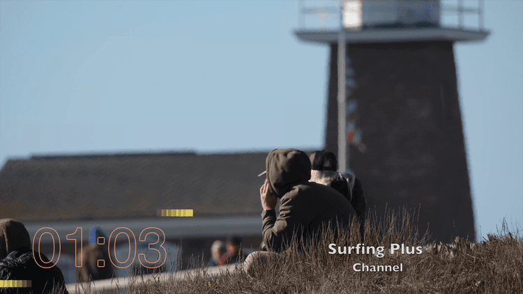Surfing Evolution
