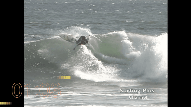 Shoreline Shred Surf