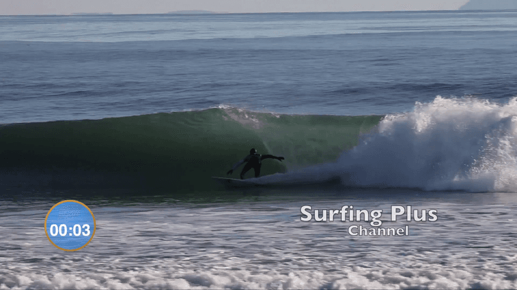 Zen Rippers Surfing